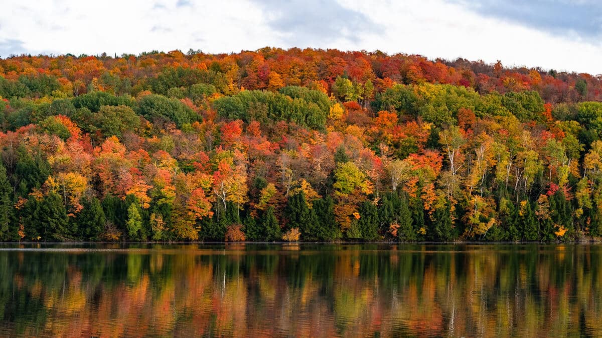 Vermont ACA Filing Requirements – TY 2024