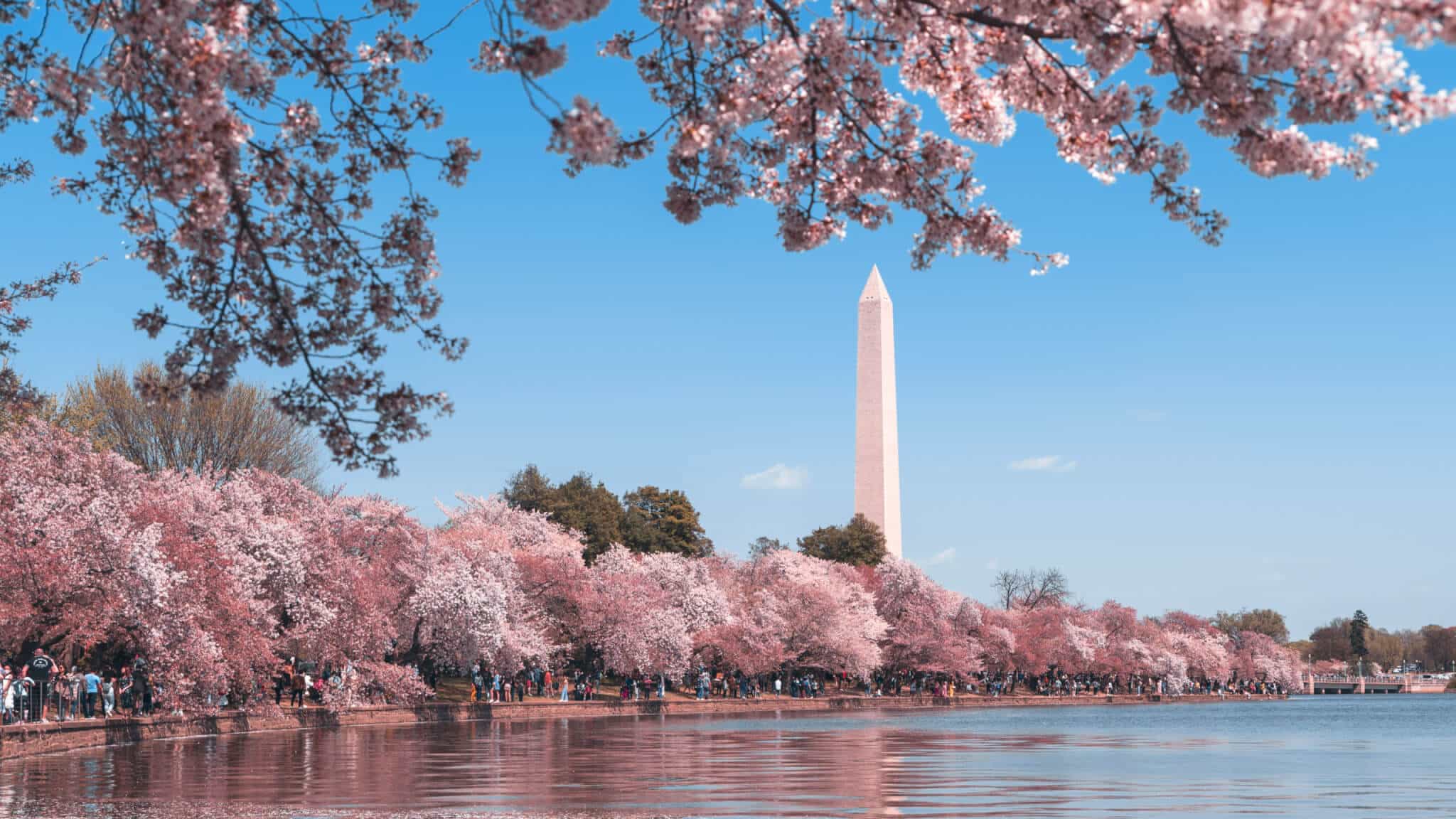 DC ACA Filing Requirements – TY 2024