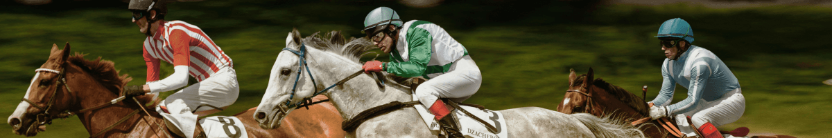 Horse Racing W-2G