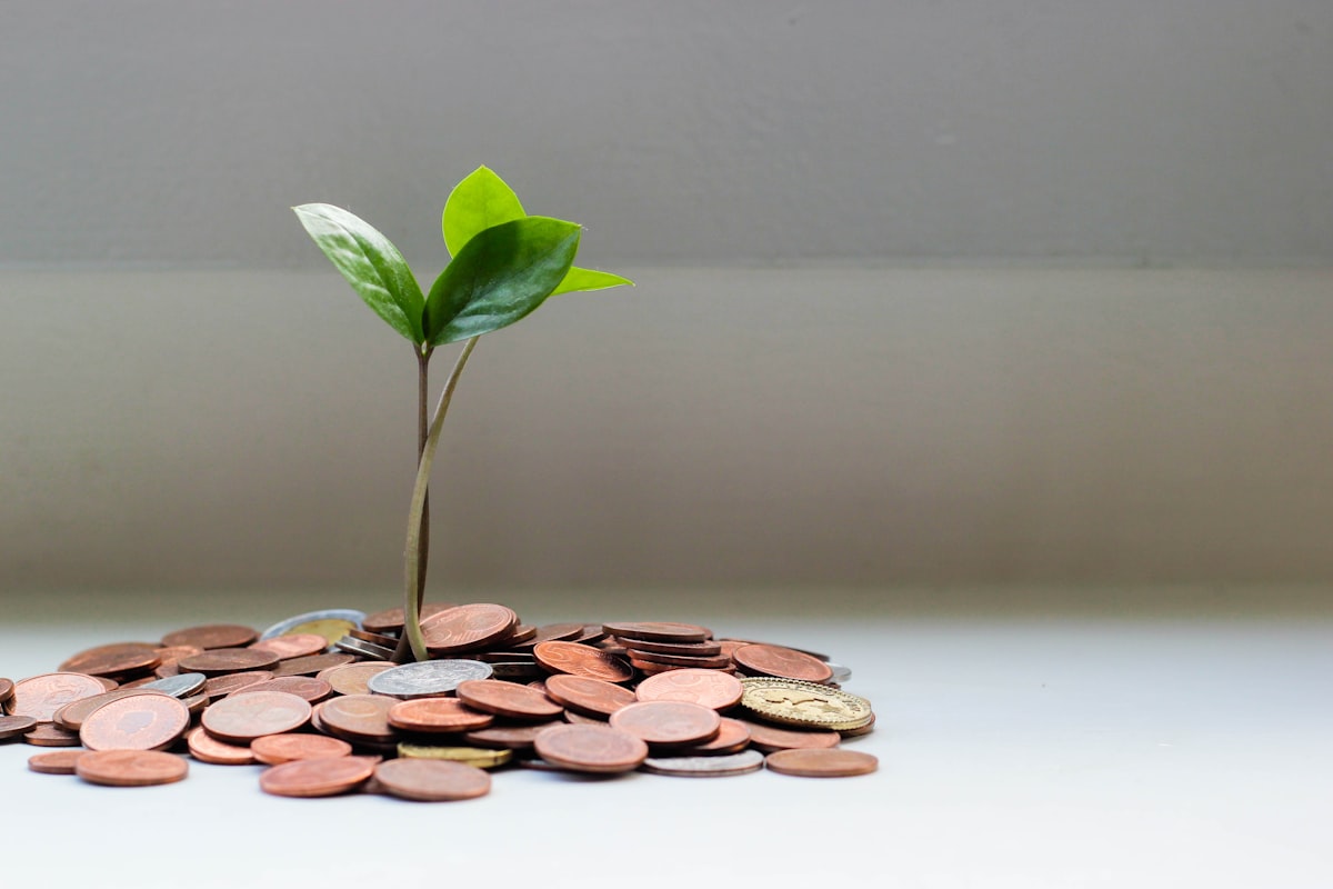 1099-R vs 1099-DIV: Reporting Retirement Distributions